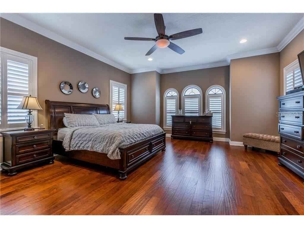 3814 Villas Del Sol Court Tampa FL 33609 TB8509345 image10