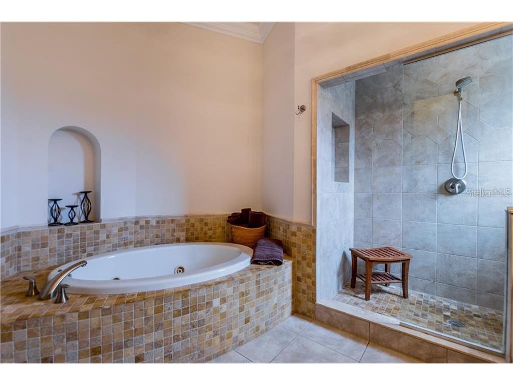 3814 Villas Del Sol Court Tampa FL 33609 TB8509345 image11