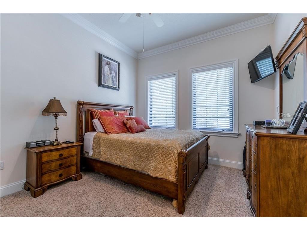 3814 Villas Del Sol Court Tampa FL 33609 TB8509345 image13