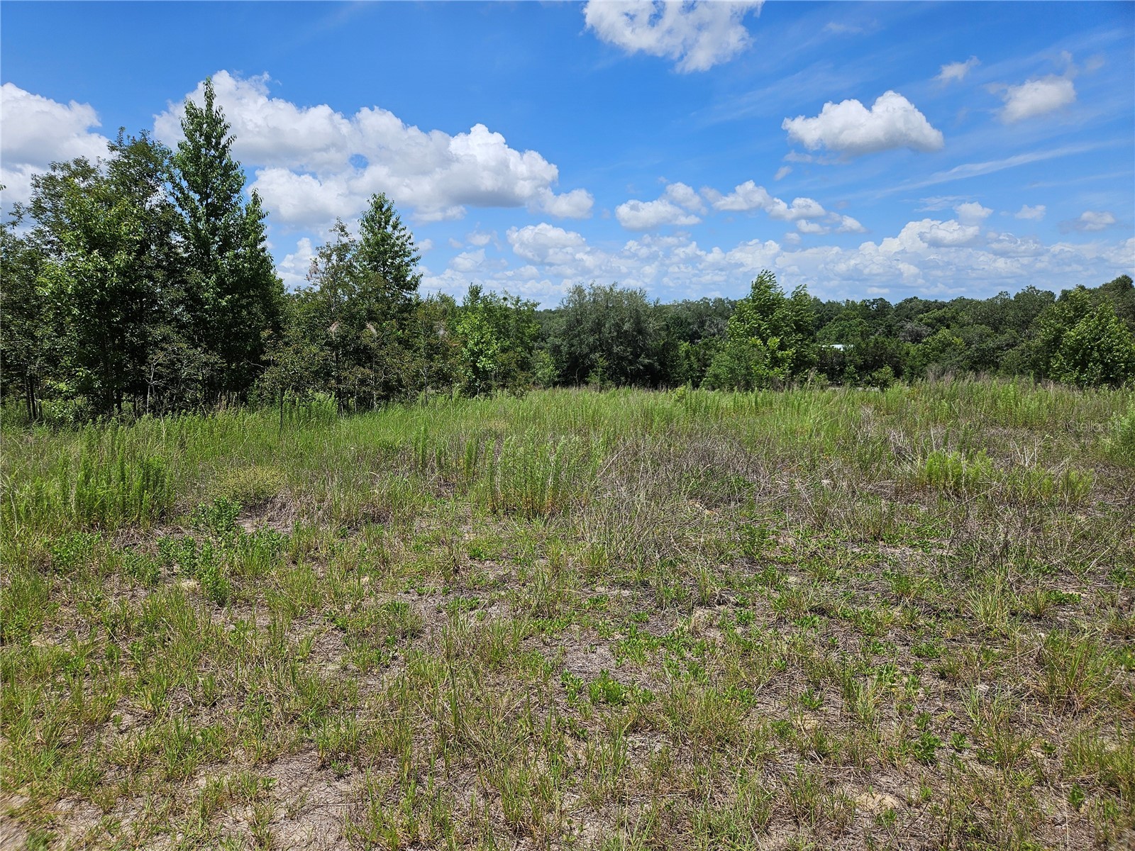 3814 W Rancetta Street Dunnellon FL 34433 OM726801 image3
