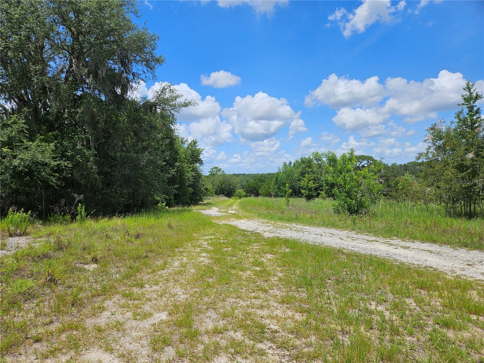 3814 W Rancetta Street Dunnellon FL 34433 OM726801 image5