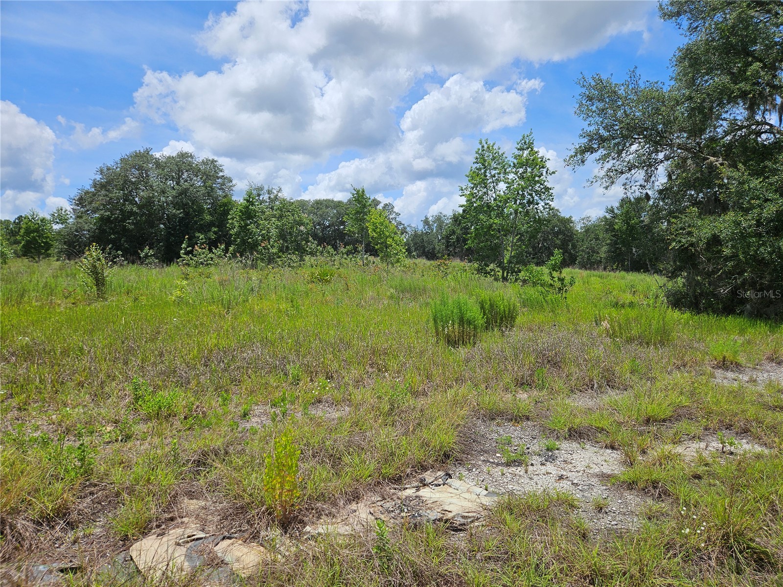 3814 W Rancetta Street Dunnellon FL 34433 OM726801 image6