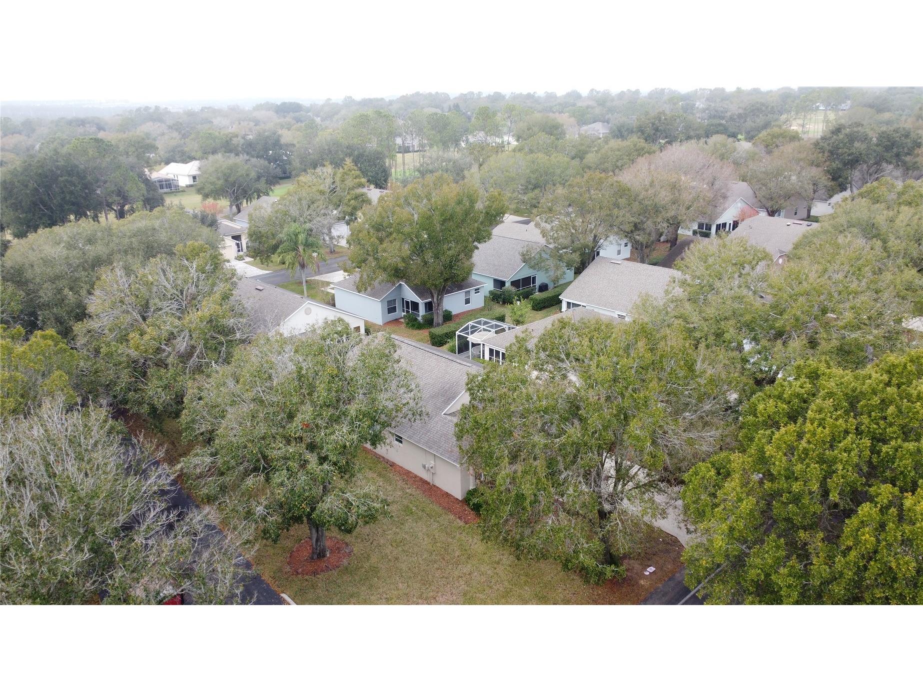 3814 Westerham Drive Clermont FL 34711 G5105624 image3