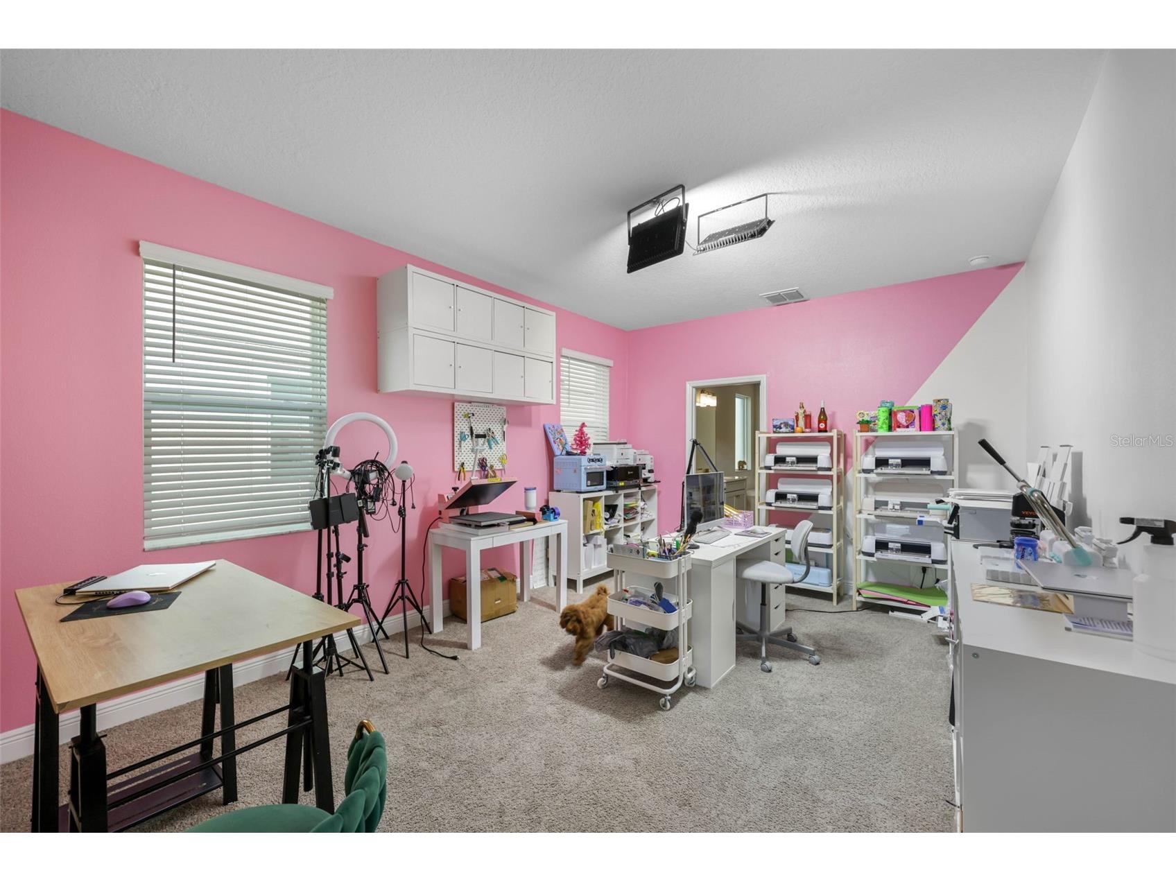 38144 Cobble Creek Boulevard Zephyrhills FL 33540 TB8423489 image15