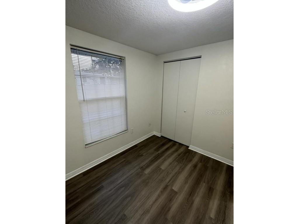 38146 Archer Avenue Zephyrhills FL 33541 A4669826 image13