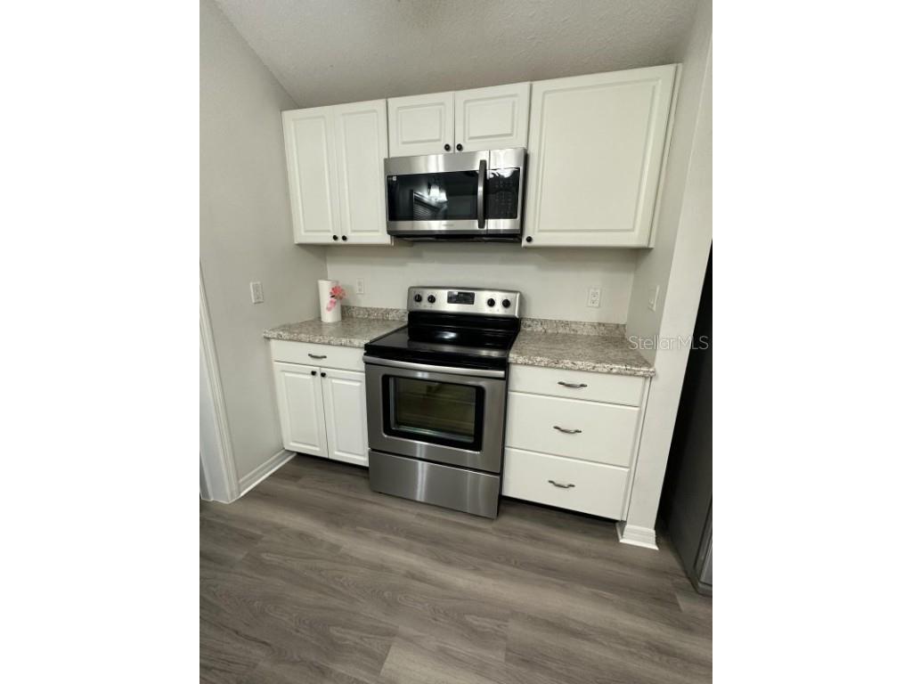 38146 Archer Avenue Zephyrhills FL 33541 A4669826 image6