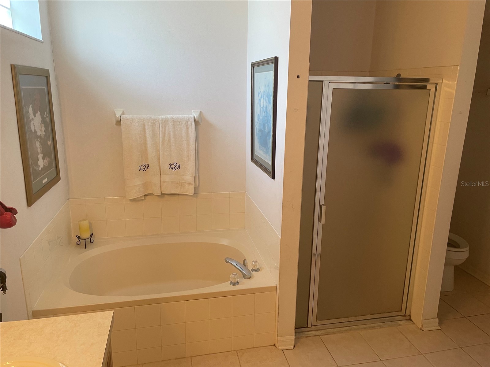 3815 Brookmyra Drive Orlando FL 32837 S5144679 image11