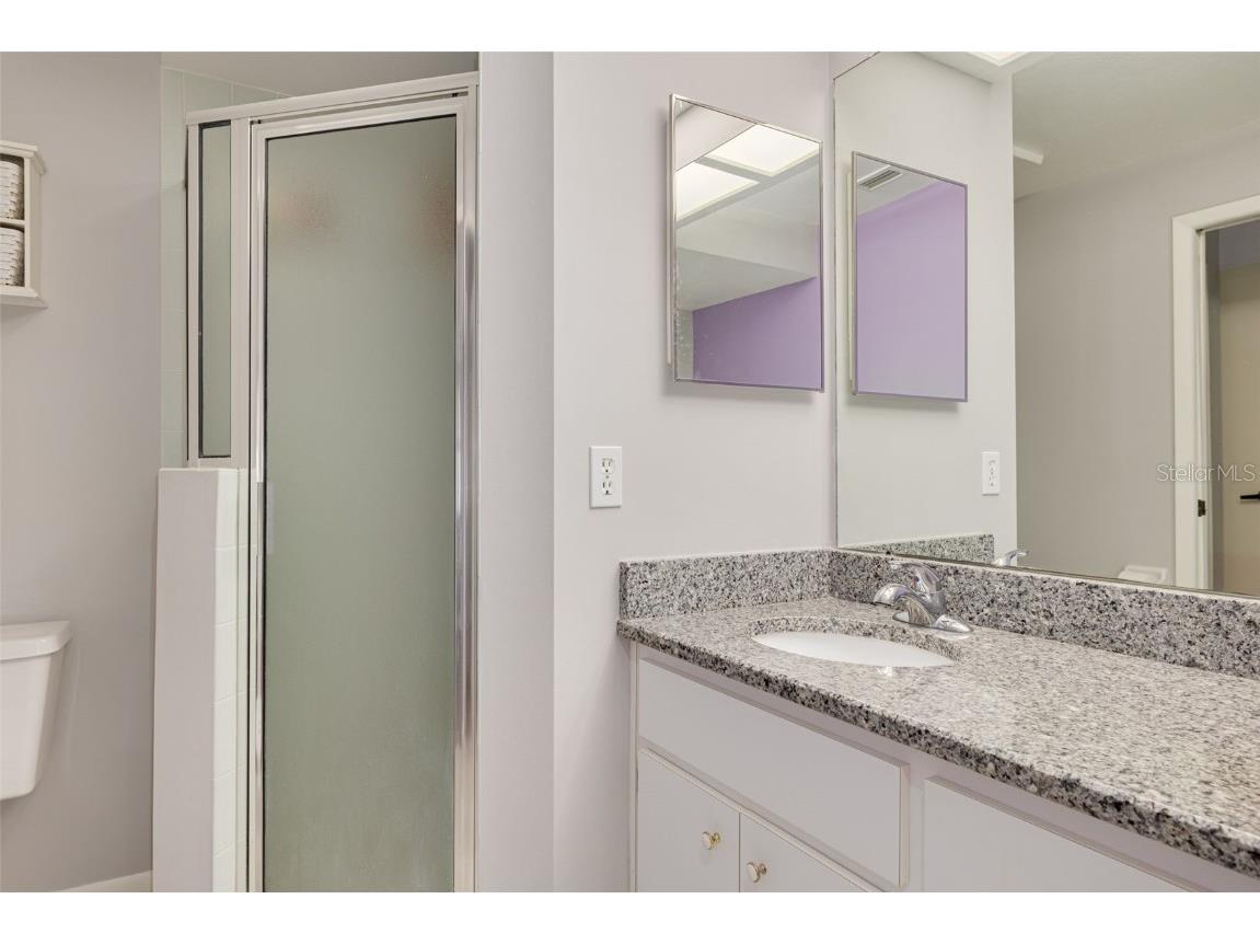 3815 Muirfield Court Palm Harbor FL 34685 TB8422518 image19