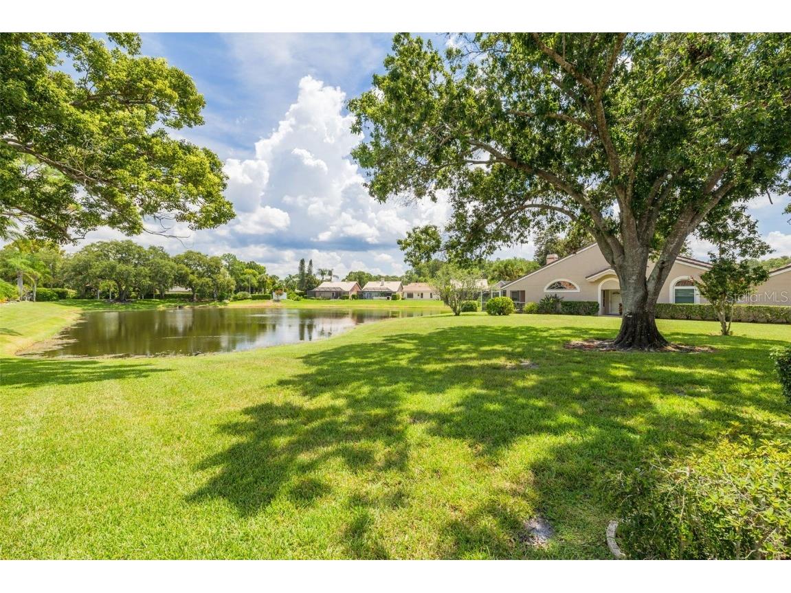 3815 Muirfield Court Palm Harbor FL 34685 TB8422518 image27