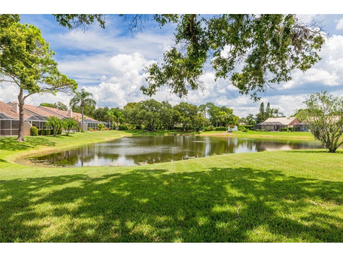 3815 Muirfield Court Palm Harbor FL 34685 TB8422518 image28