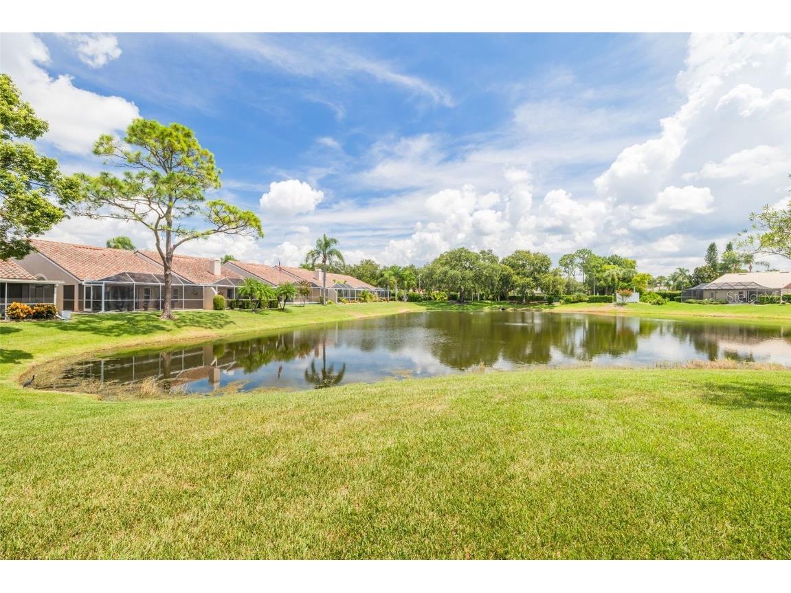 3815 Muirfield Court Palm Harbor FL 34685 TB8422518 image29