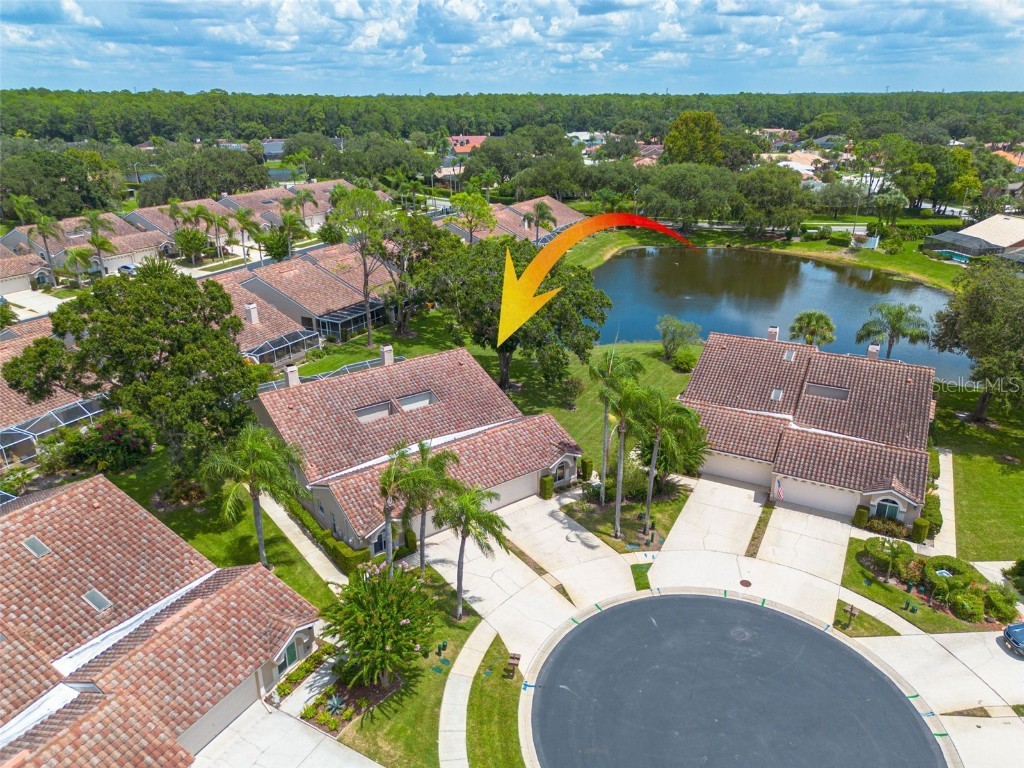 3815 Muirfield Court Palm Harbor FL 34685 TB8422518 image30