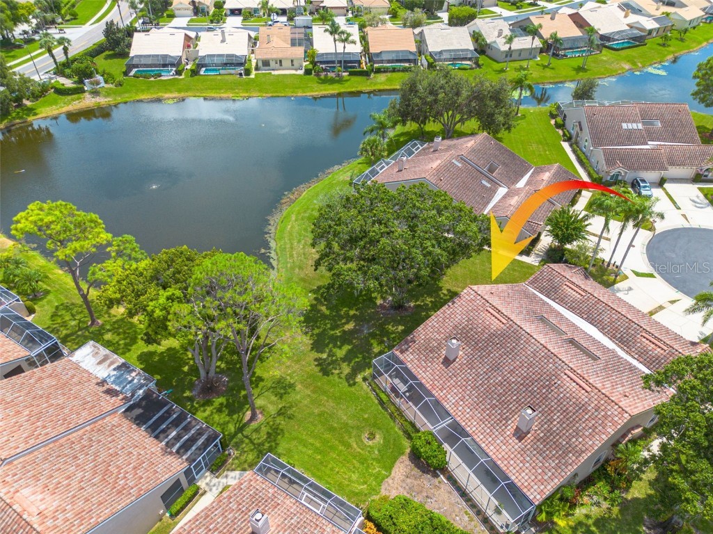 3815 Muirfield Court Palm Harbor FL 34685 TB8422518 image31