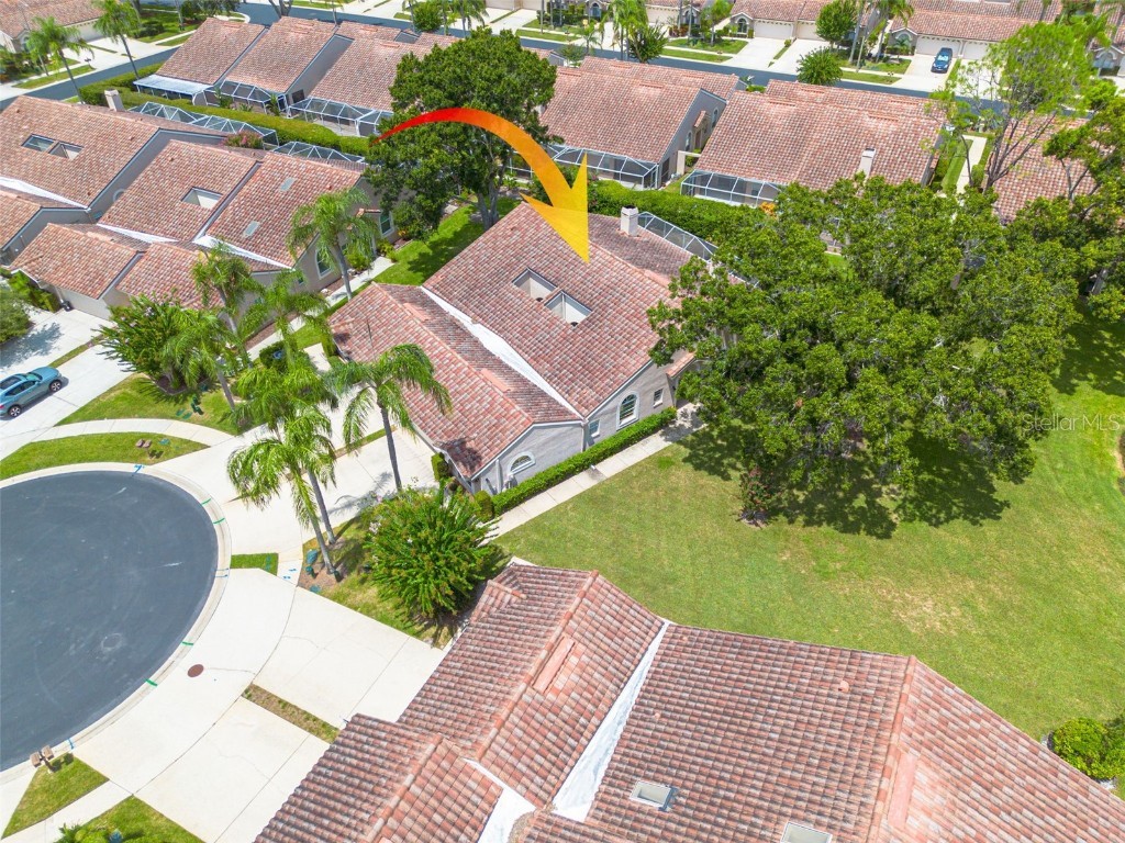 3815 Muirfield Court Palm Harbor FL 34685 TB8422518 image32