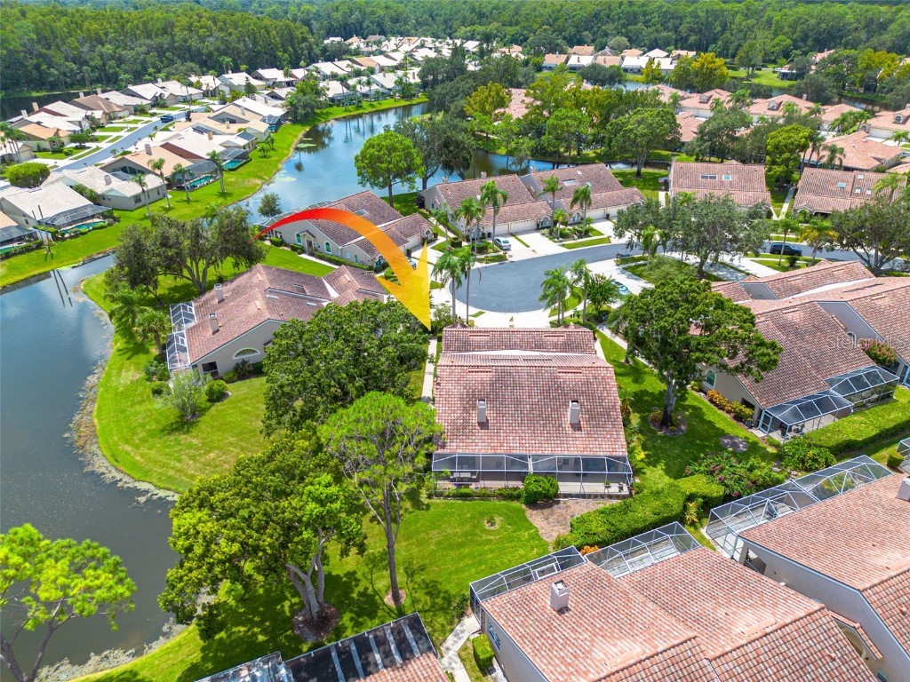 3815 Muirfield Court Palm Harbor FL 34685 TB8422518 image33
