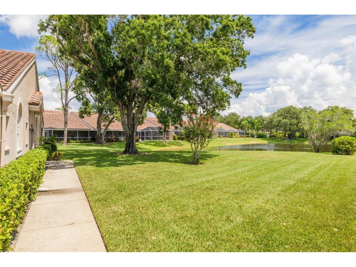 3815 Muirfield Court Palm Harbor FL 34685 TB8422518 image36