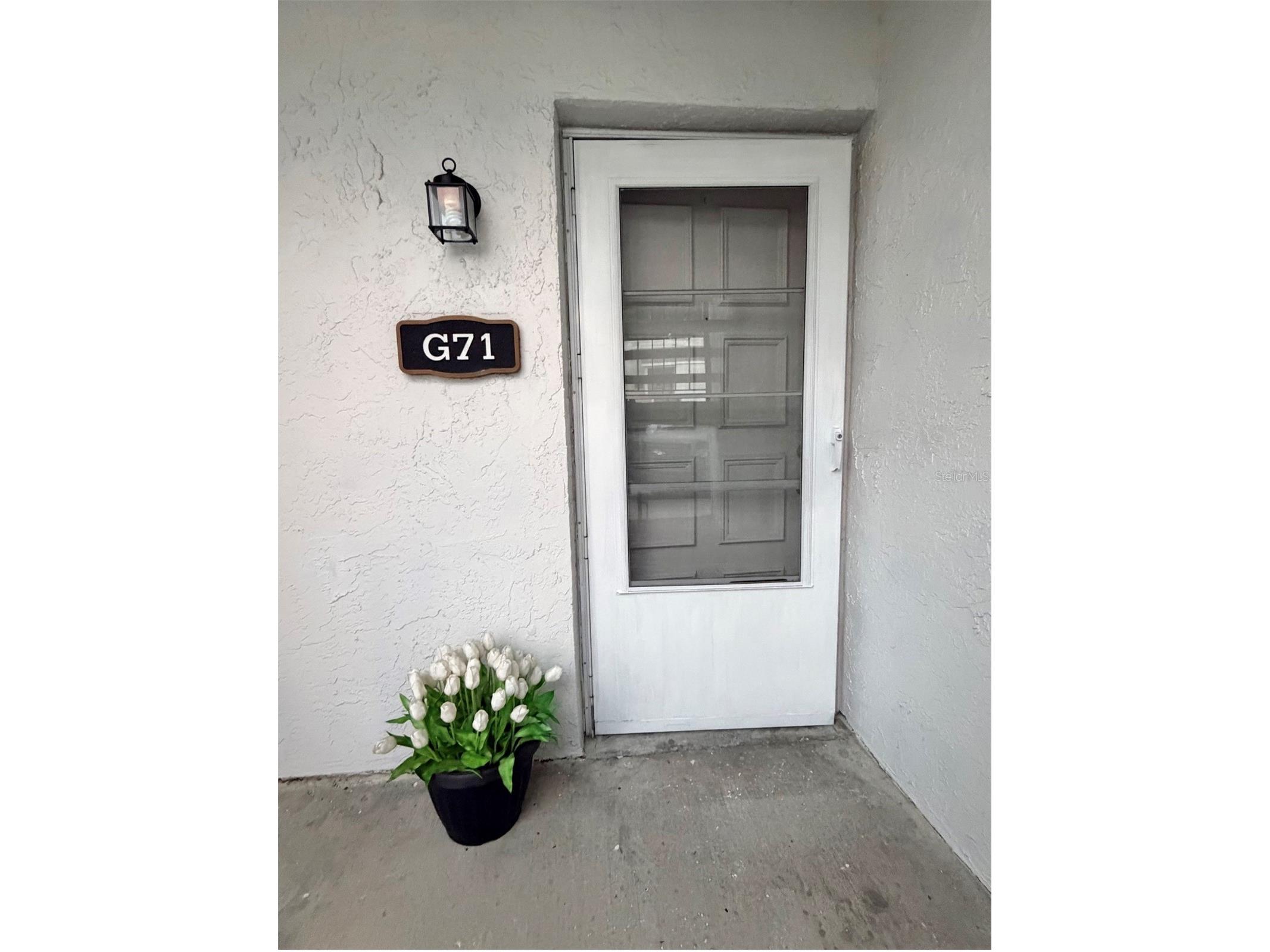 3815 N Oak Drive #G71 Tampa FL 33611 TB8501912 image2
