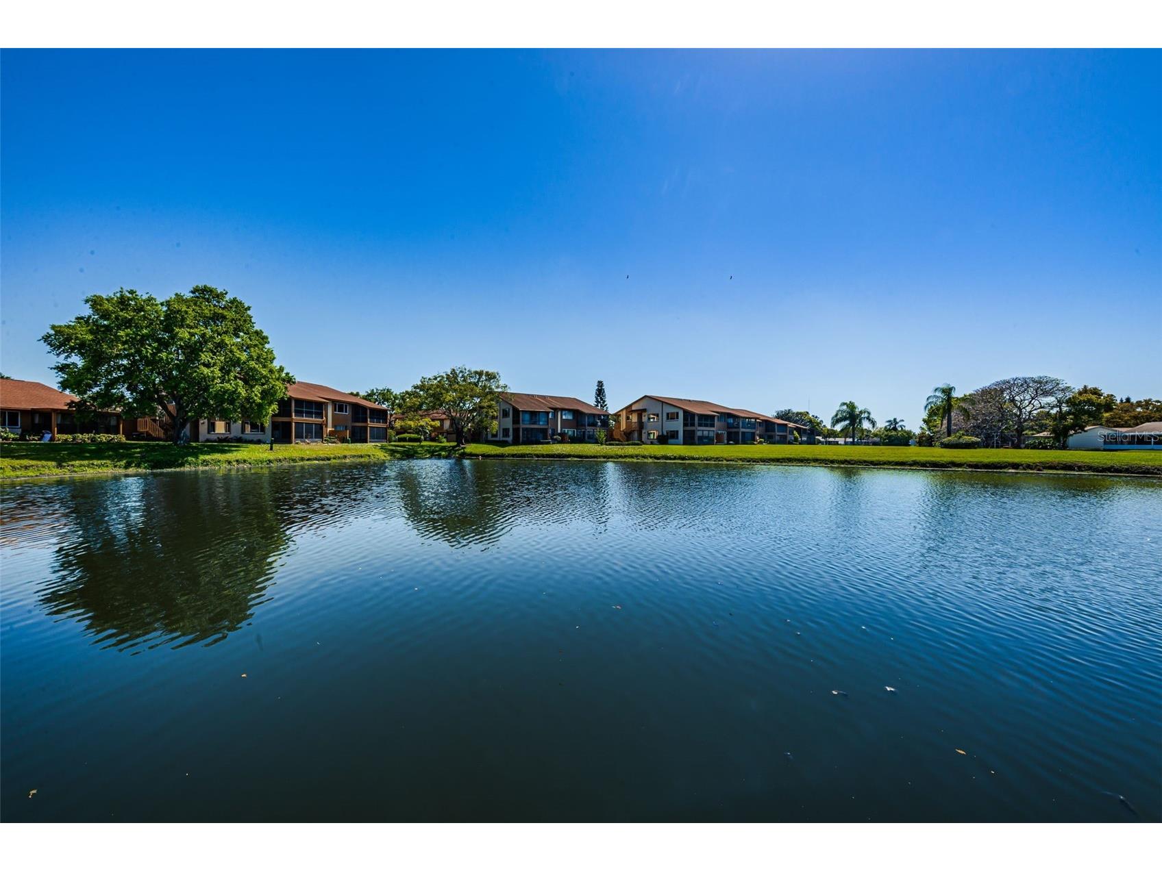 3815 Penrick Drive #0 New Port Richey FL 34652 W7885092 image49