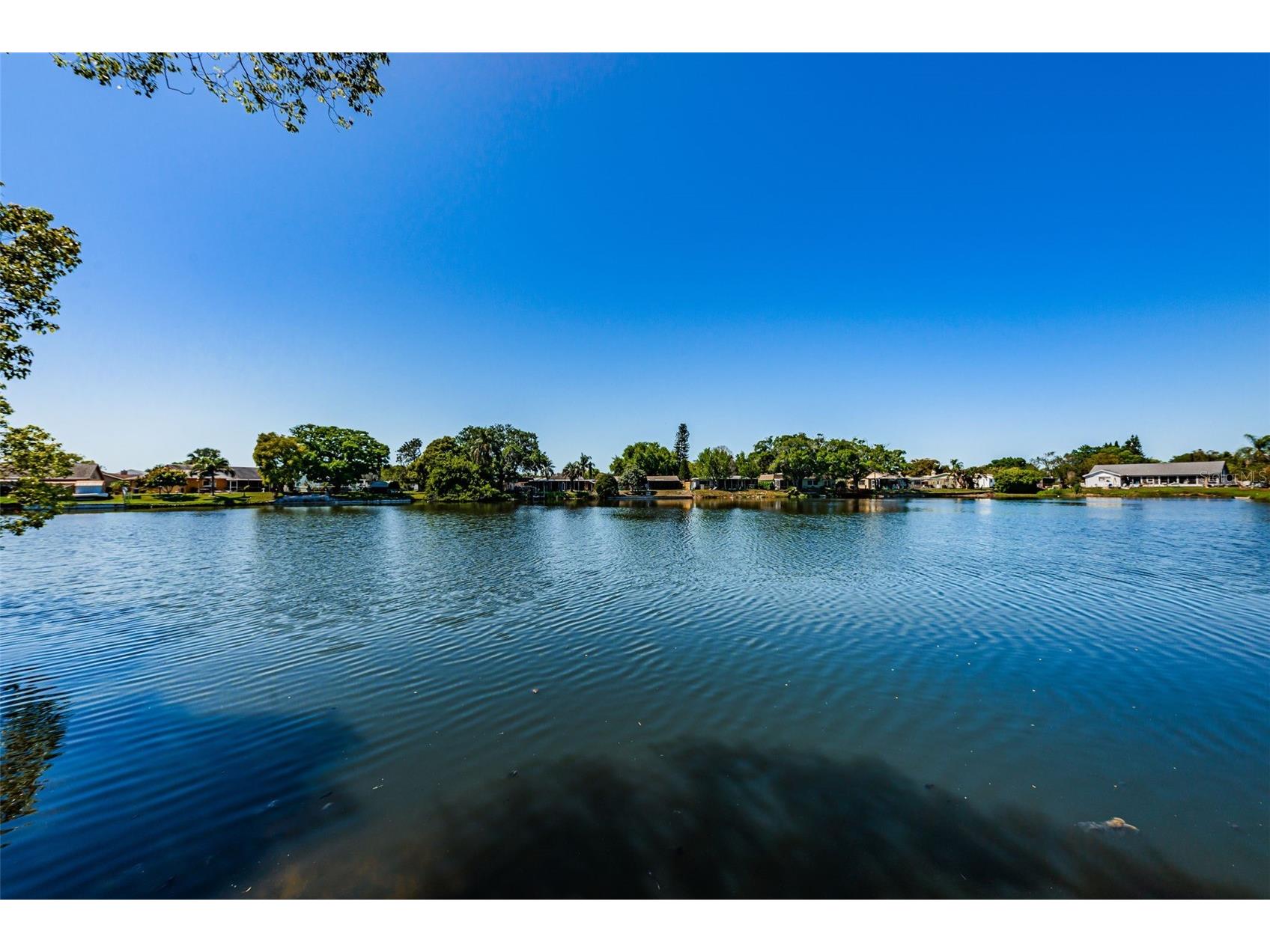 3815 Penrick Drive #0 New Port Richey FL 34652 W7885092 image75
