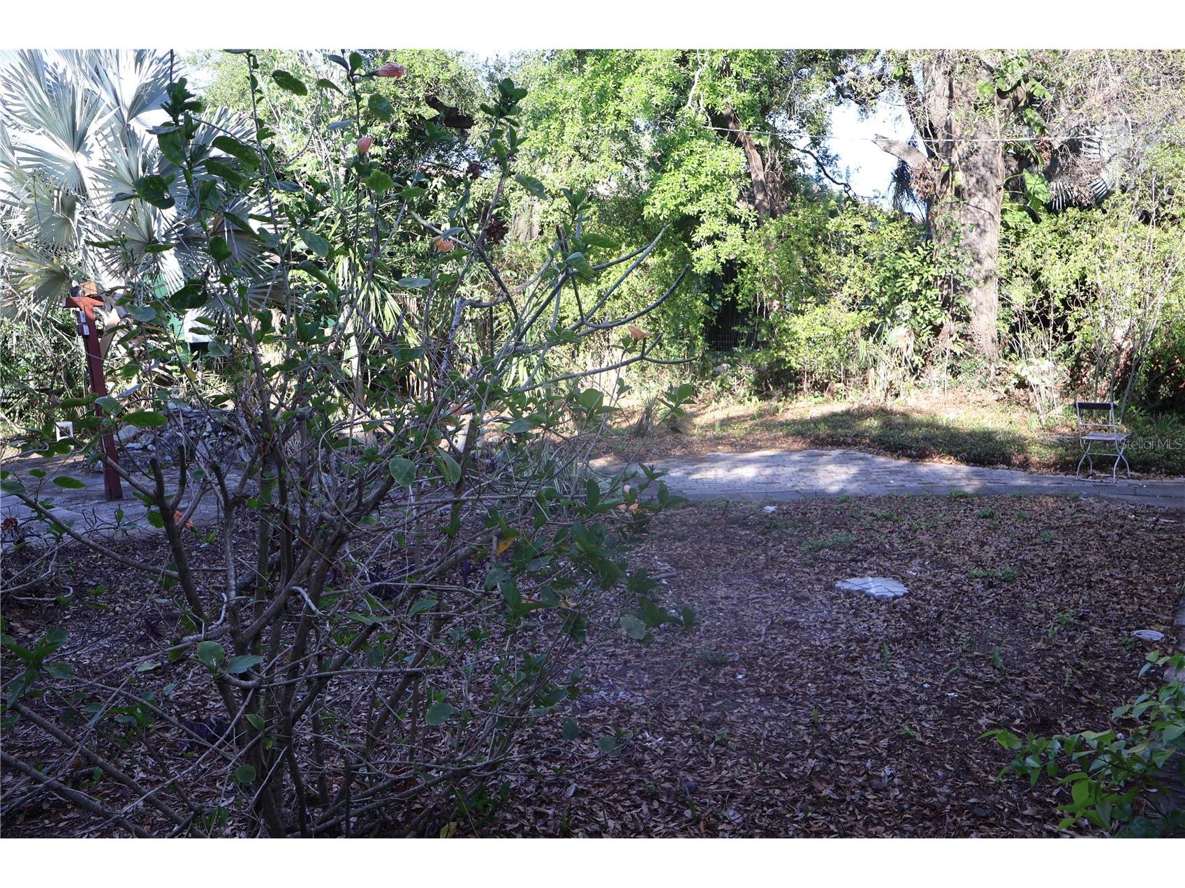 3815 W De Leon Street Tampa FL 33609 TB8488115 image24