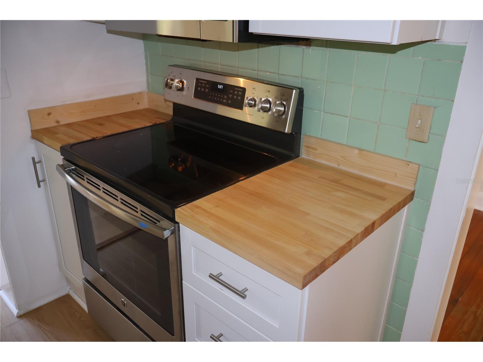 3815 W De Leon Street Tampa FL 33609 TB8488115 image3