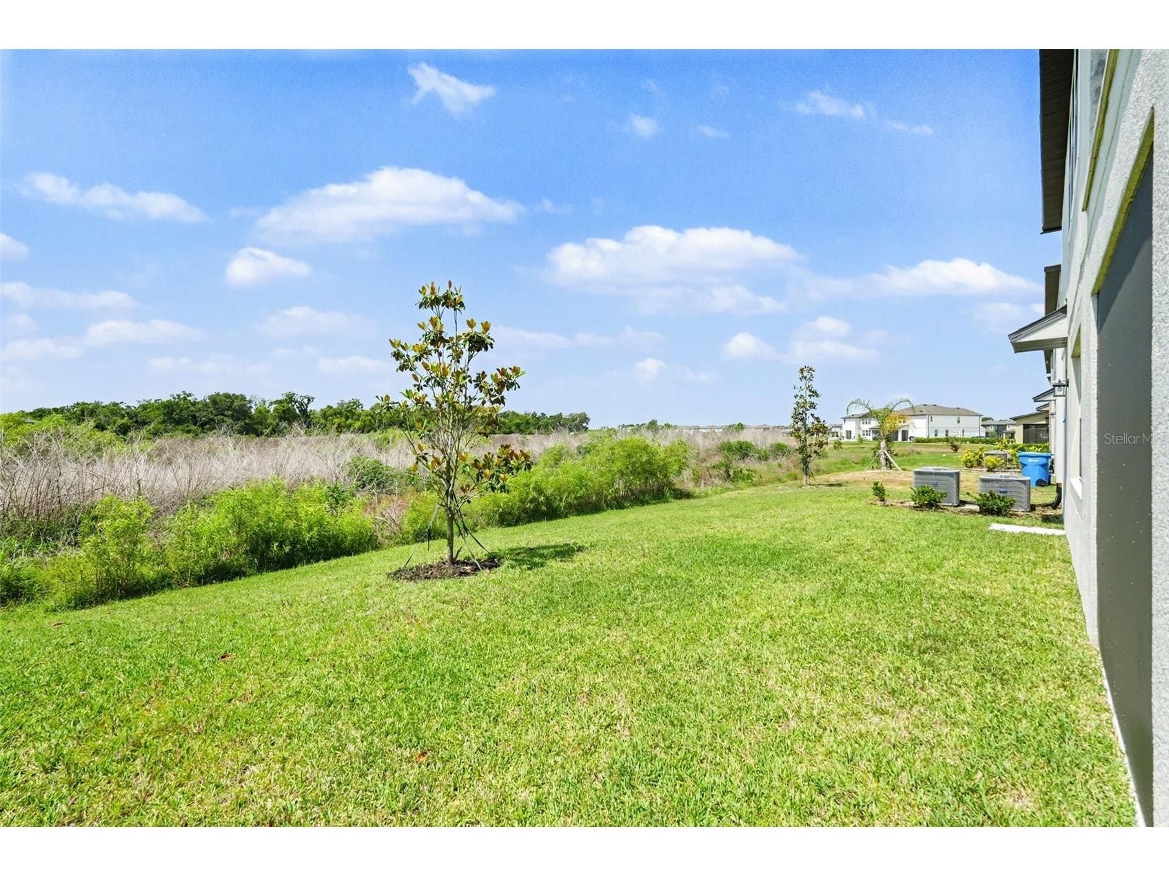 38152 Cobble Creek Boulevard Zephyrhills FL 33540 TB8503032 image25