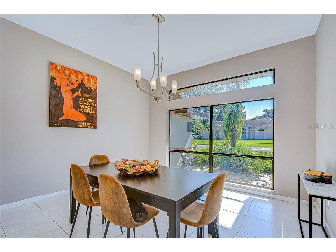 3816 Buckingham Loop Drive Valrico FL 33594 TB8444188 image7