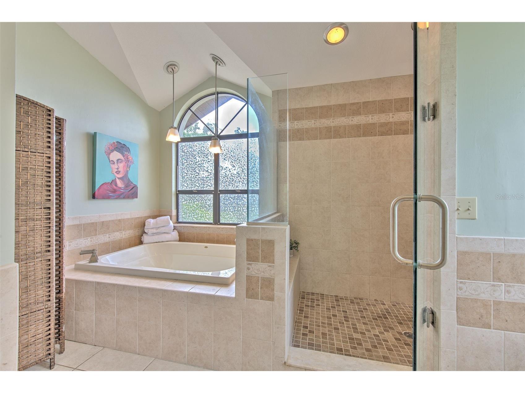 3816 Buckingham Loop Drive Valrico FL 33594 TB8512927 image18
