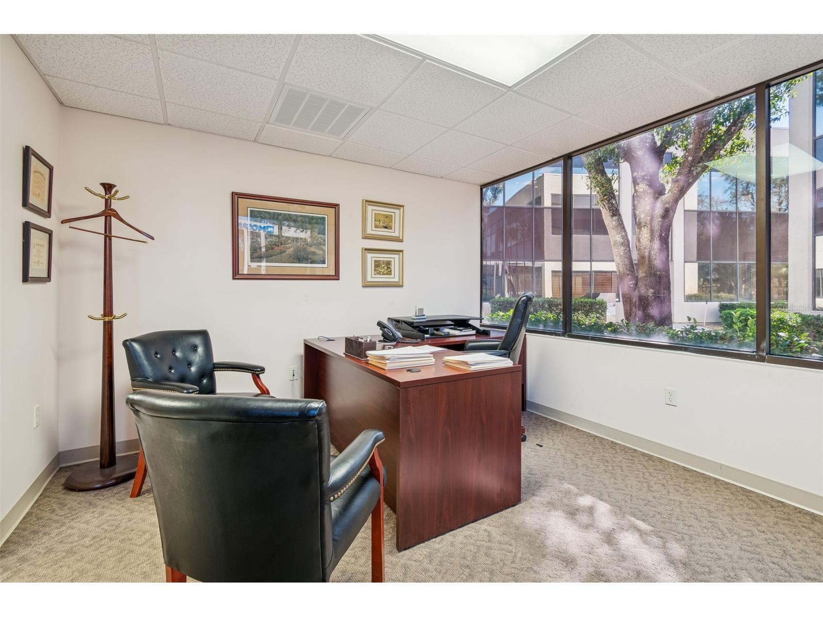 3816 Gunn Highway Tampa FL 33618 TB8480942 image4
