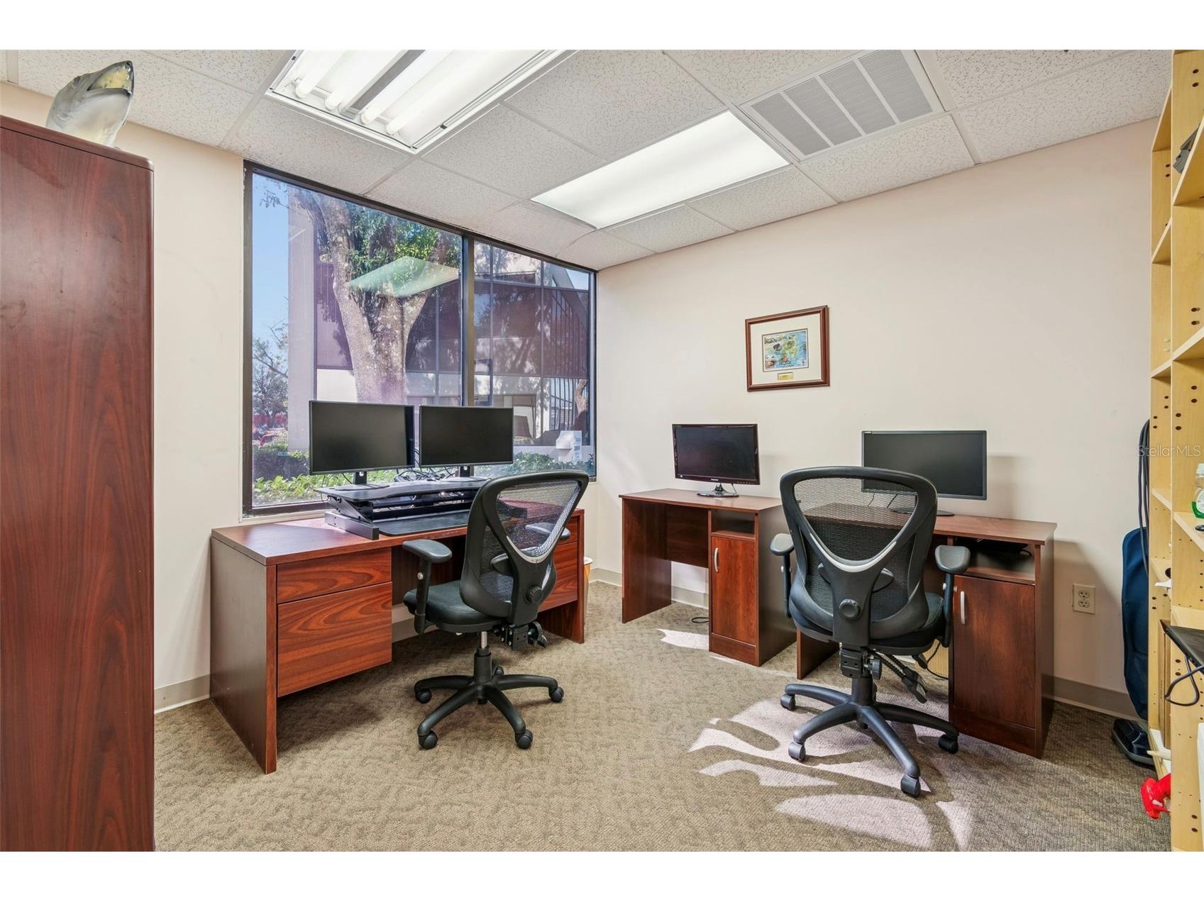 3816 Gunn Highway Tampa FL 33618 TB8480942 image6