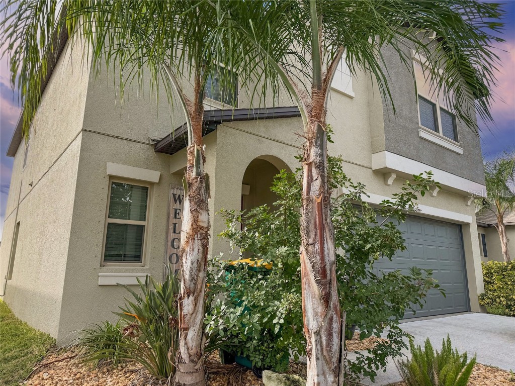 3816 Hanover Drive New Port Richey FL 34653 TB8454741 image52