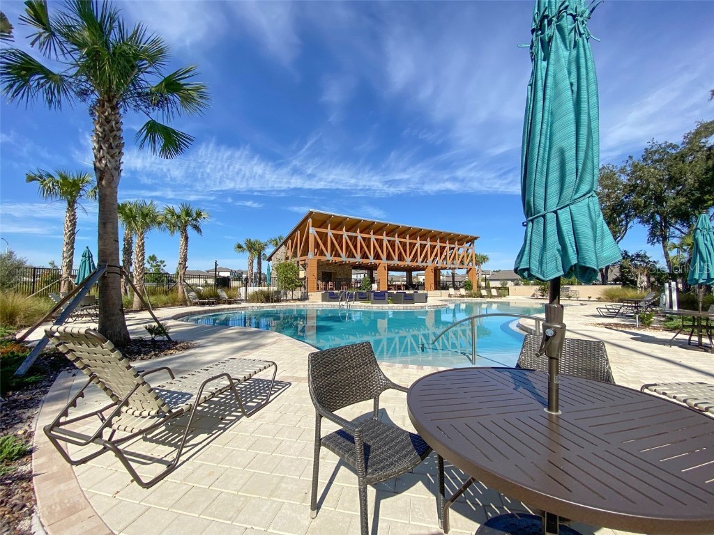 3816 Hanover Drive New Port Richey FL 34653 TB8454741 image63