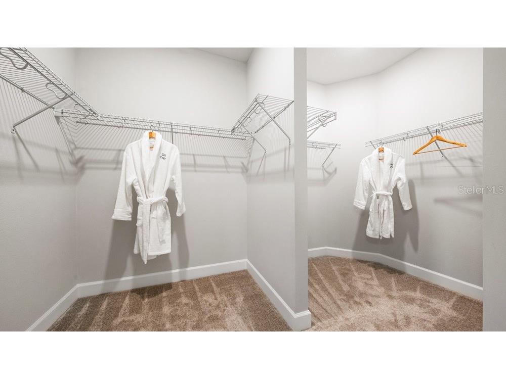 3816 Immacolata Way Wesley Chapel FL 33543 TB8507509 image12