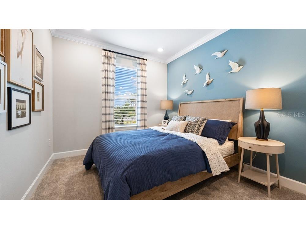 3816 Immacolata Way Wesley Chapel FL 33543 TB8507509 image16