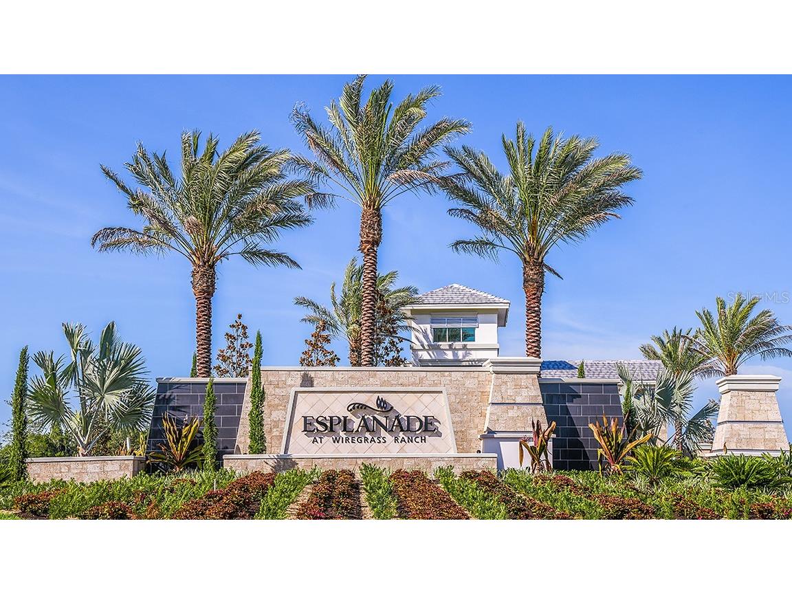 3816 Immacolata Way Wesley Chapel FL 33543 TB8507509 image35