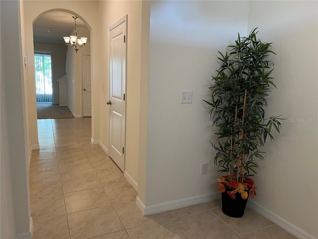 3816 Vignoble Lane Brandon FL 33511 TB8424150 image4