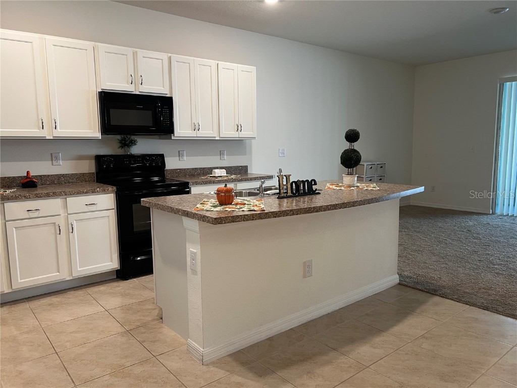 3816 Vignoble Lane Brandon FL 33511 TB8443343 image11