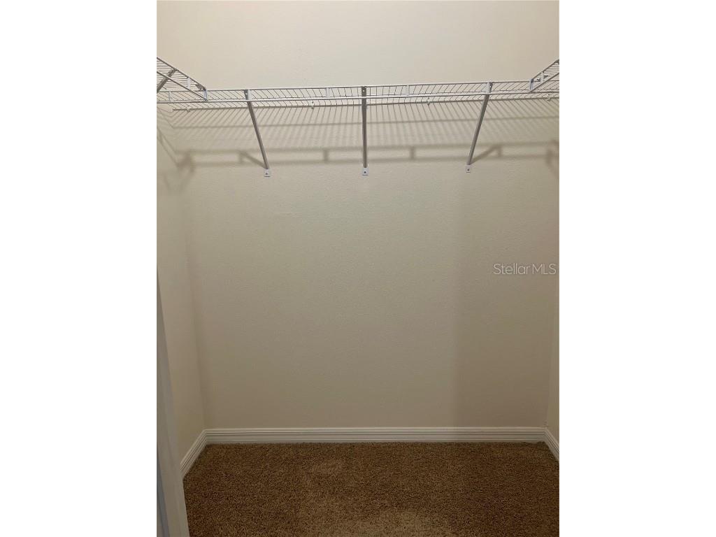 3816 Vignoble Lane Brandon FL 33511 TB8443343 image18