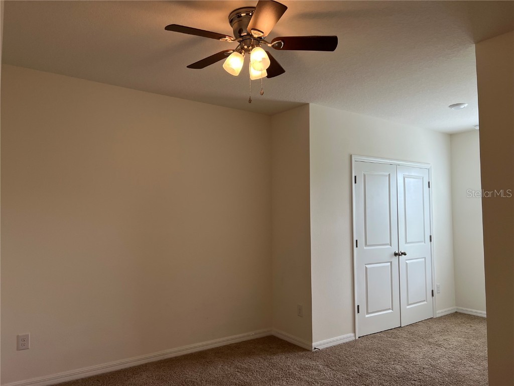 3816 Vignoble Lane Brandon FL 33511 TB8443343 image23