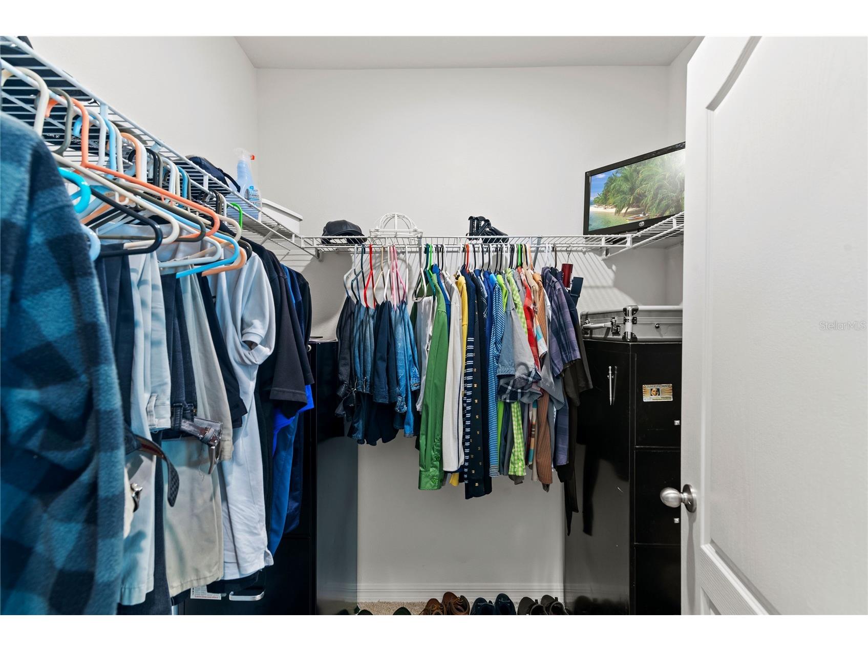 3817 Heartleaf Lane Mount Dora FL 32757 O6388781 image16