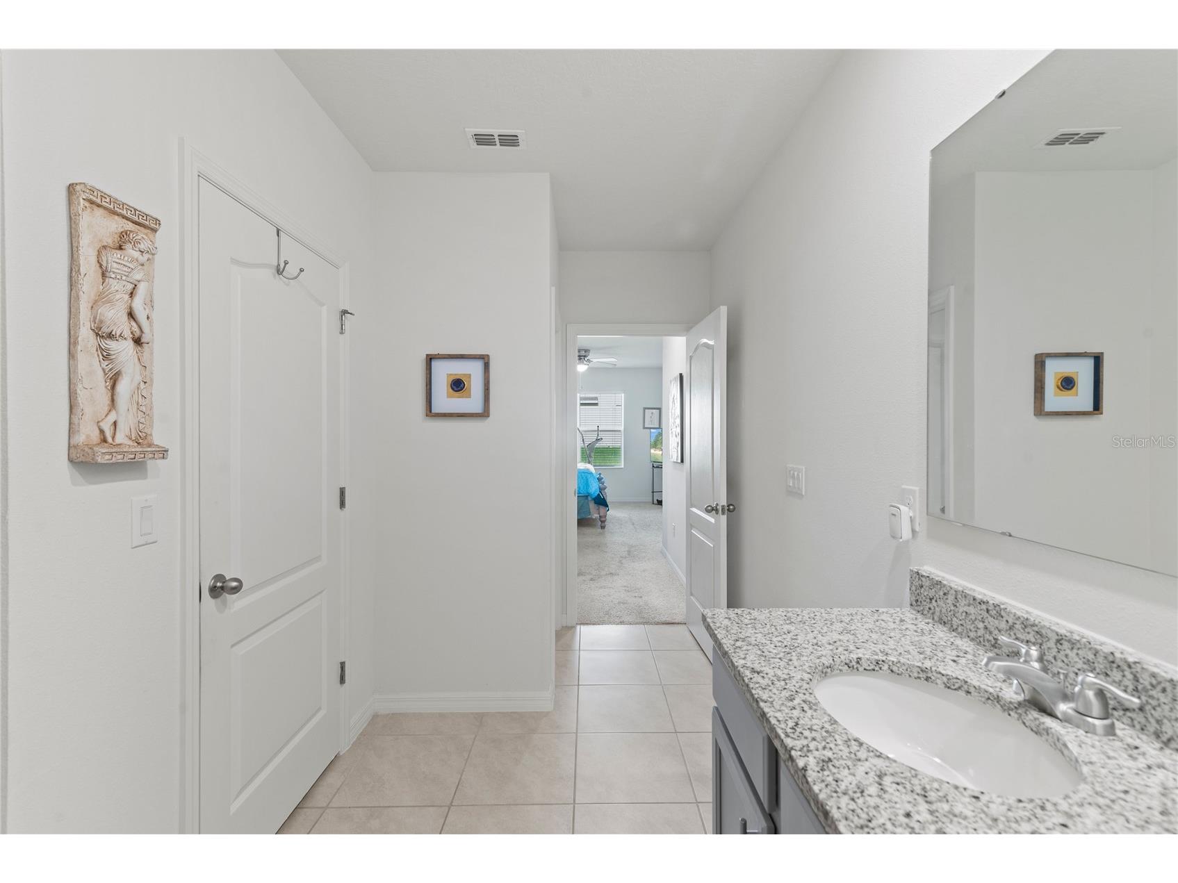 3817 Heartleaf Lane Mount Dora FL 32757 O6388781 image17