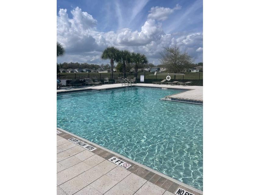 3817 Heartleaf Lane Mount Dora FL 32757 O6388781 image30