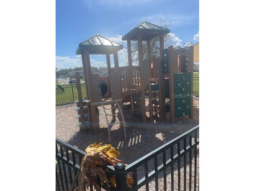 3817 Heartleaf Lane Mount Dora FL 32757 O6388781 image31