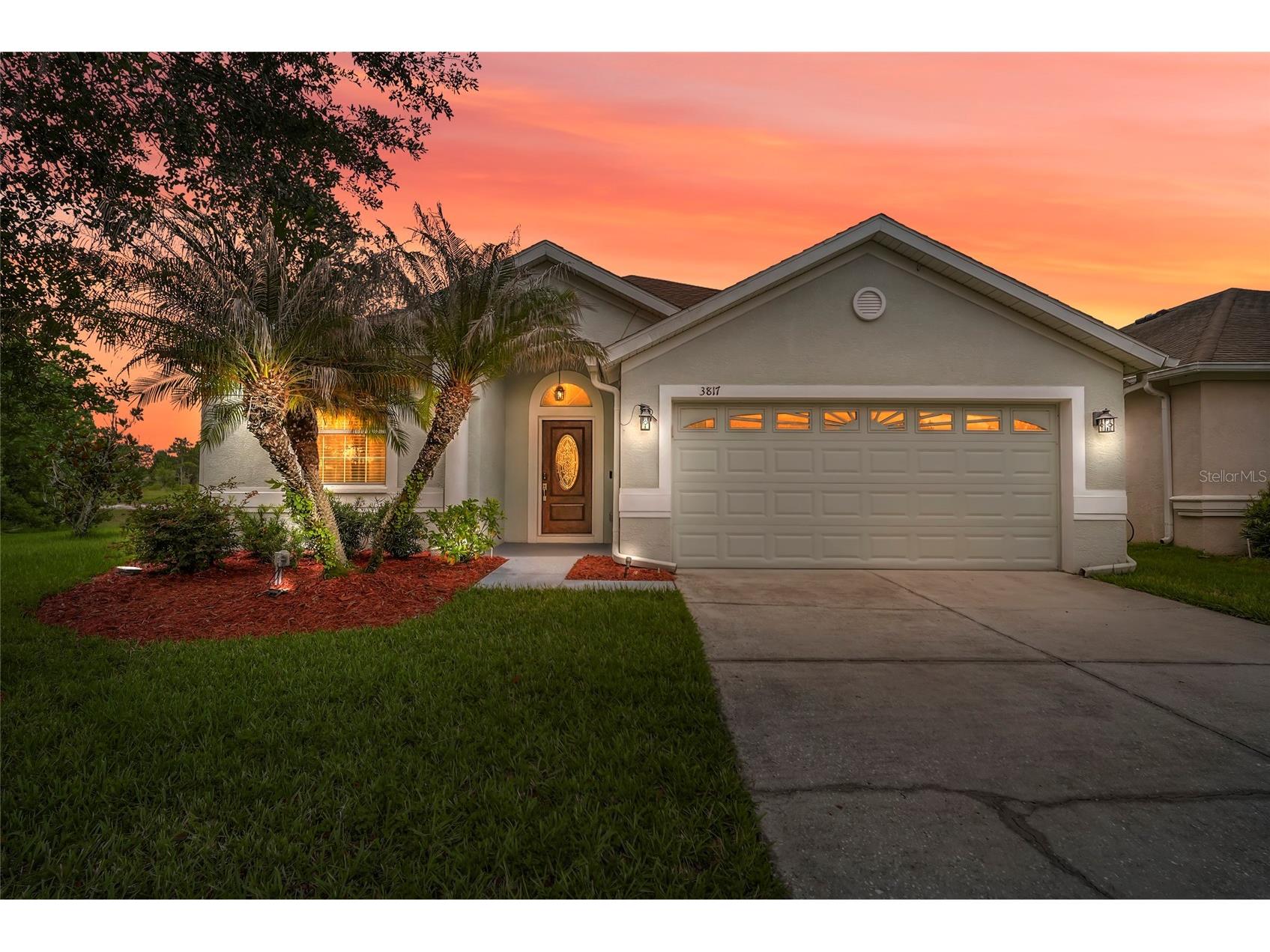 3817 Langdrum Drive Wesley Chapel FL 33543 TB8519007 image1