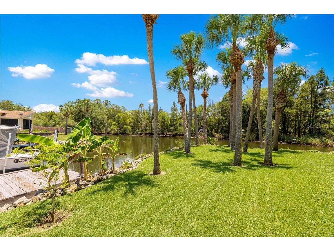 3817 N Calusa Point Crystal River FL 34428 OM704057 image50