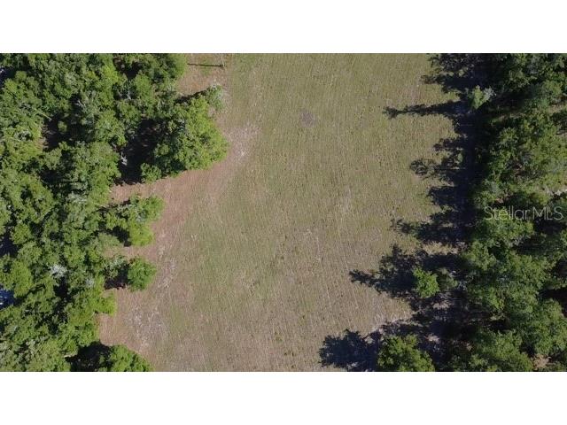 3817 NE 159th Place Gainesville FL 32609 GC530096 image1