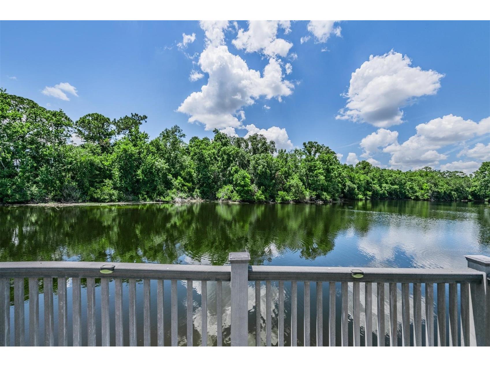 3817 Nicholas Court Tarpon Springs FL 34688 - WHISPERING LAKES O6410747 image11