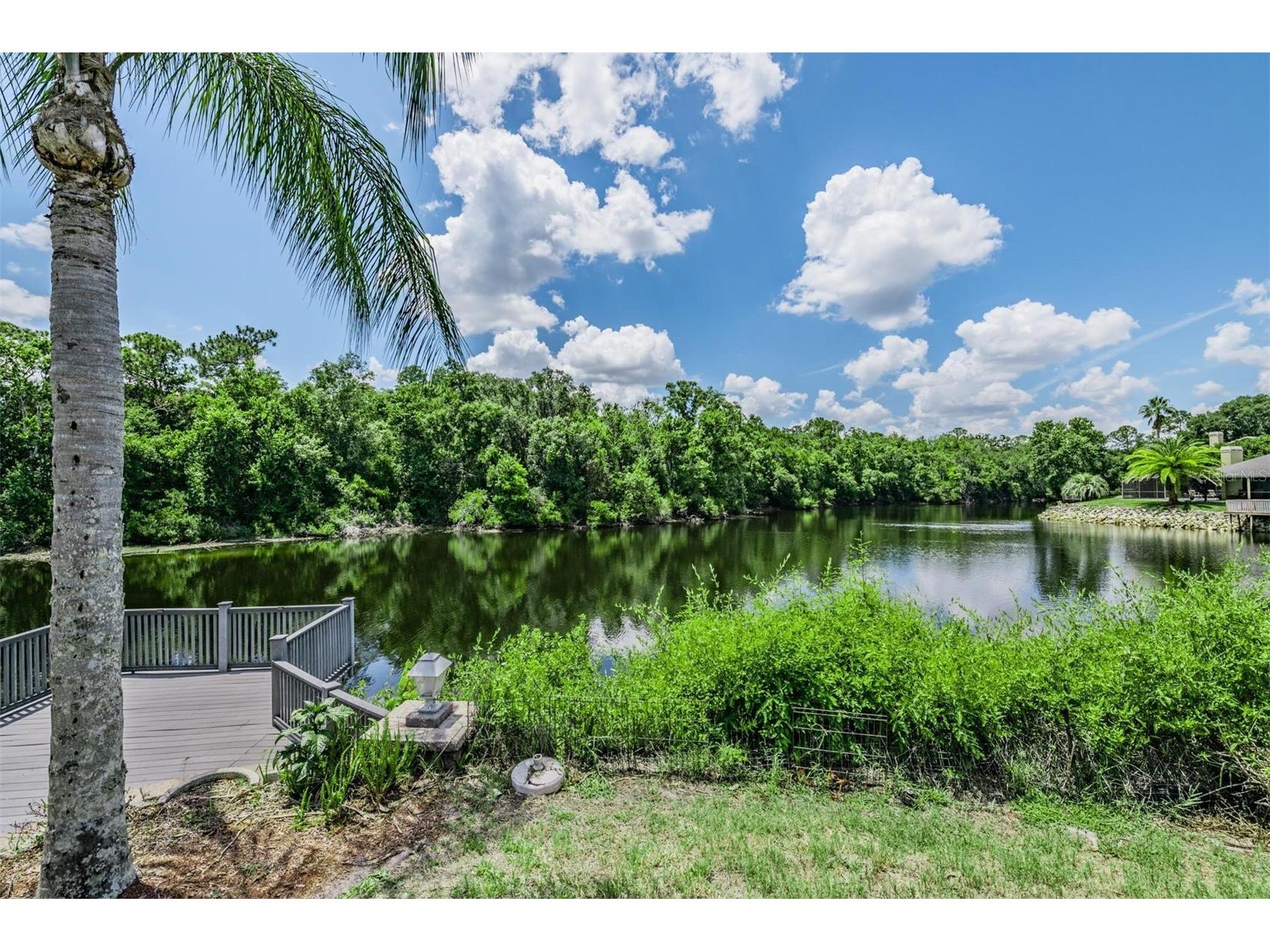 3817 Nicholas Court Tarpon Springs FL 34688 - WHISPERING LAKES O6410747 image14
