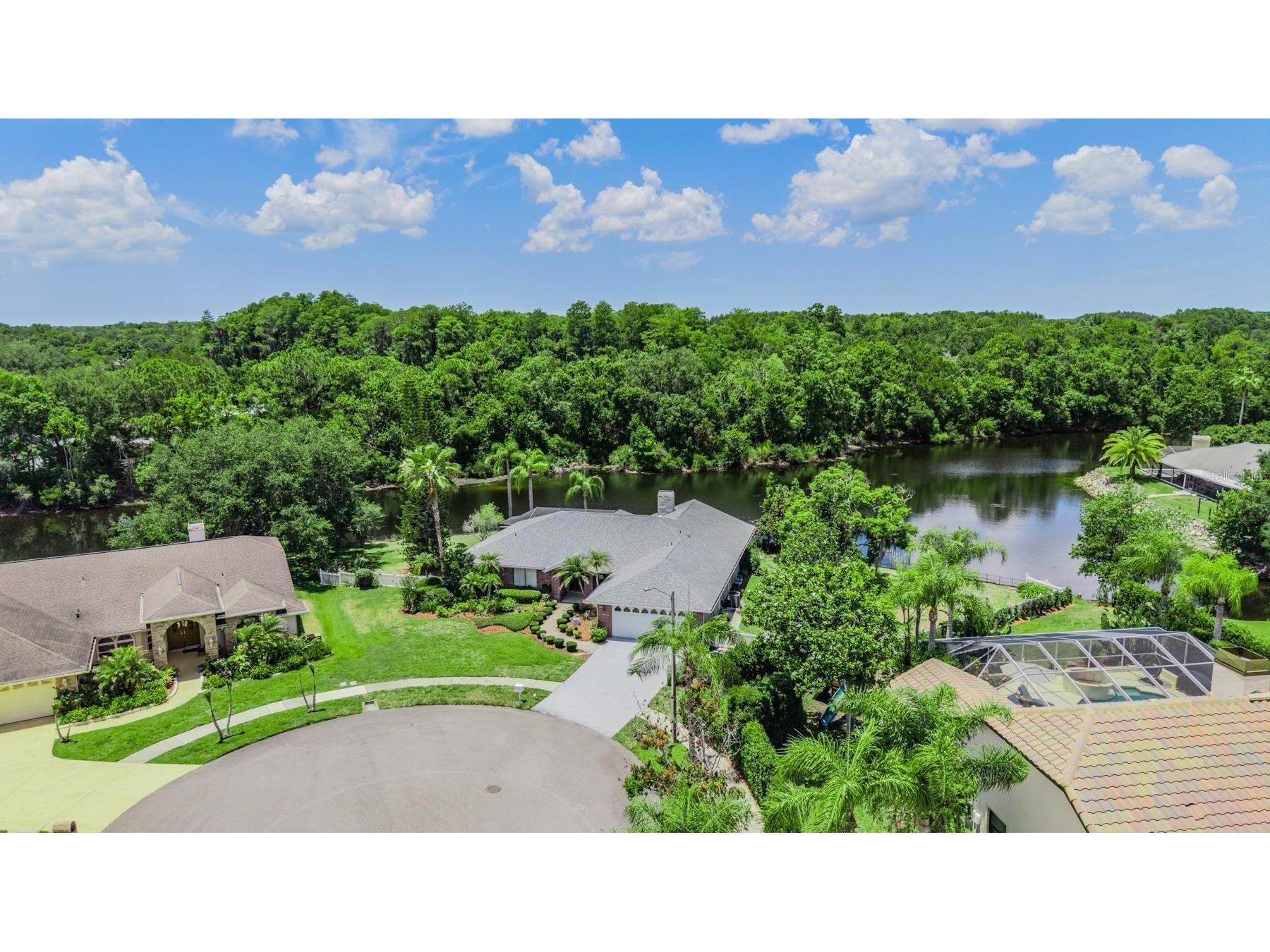3817 Nicholas Court Tarpon Springs FL 34688 - WHISPERING LAKES O6410747 image4