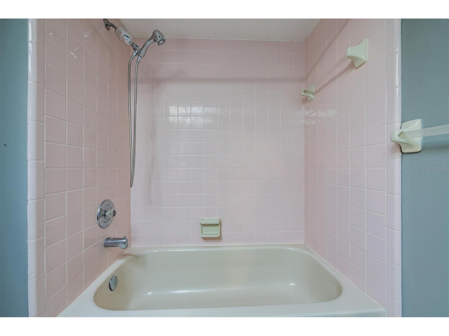 3817 Nicholas Court Tarpon Springs FL 34688 - WHISPERING LAKES O6410747 image55
